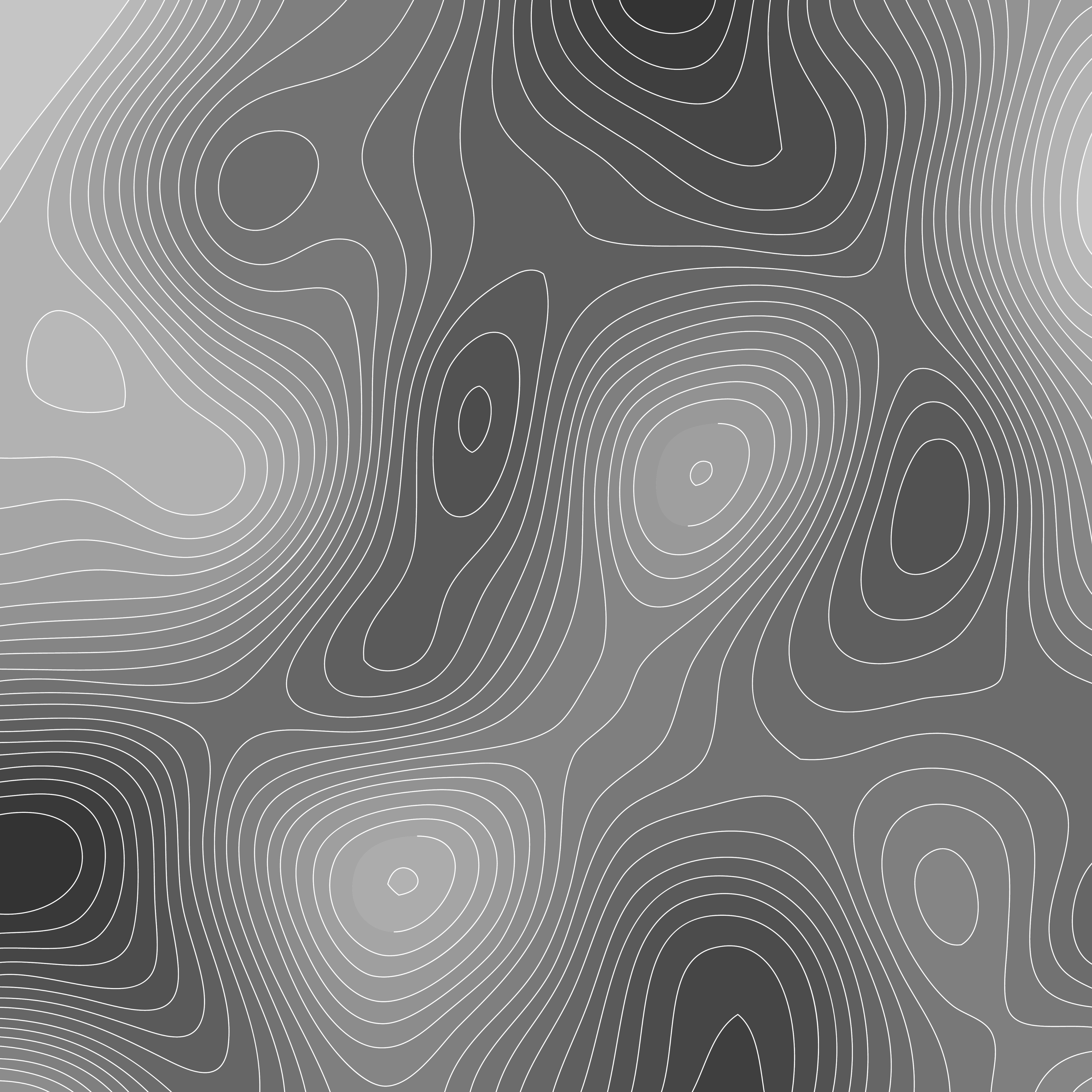Topographic pattern
